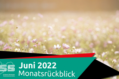 Bild von rosafarbenen Blümchen mit dem Banner "Juni 2022 Monatsrückblick"