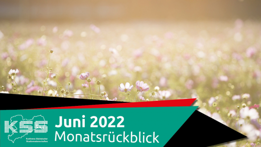 Bild von rosafarbenen Blümchen mit dem Banner "Juni 2022 Monatsrückblick"